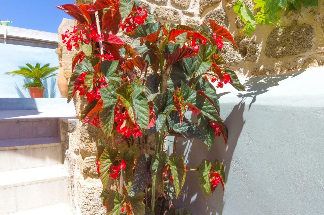 Colours - Old Town - Studios Rhodes City 외부 사진